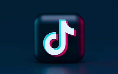 TikTok Ad Blueprints to Make Your Copy More Effective